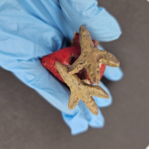 Vintage Bert Anderson Christmas Cardinal Bird Ornament 2002 Dangle Jute Folk Art - Picture 11 of 14